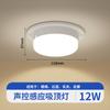 Lámpara de techo de inducción LED, luz con control de voz, radar doméstico, cuerpo humano, pasillo, escalera, pasillo, balcón, luz de inducción para pasillo.