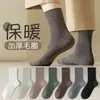 Calcetines para Hombre de Media Pantorrilla Otoño e Invierno, Calcetines para Hombre con Forro de Felpa, Espesos y Cálidos, Calcetines de Rizo de Origen Zhuji al por Mayor