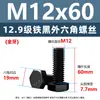 Tornillos de alta resistencia M5M20 de hexágono exterior Grado 12.9 Tornillos extendidos de cabeza hexagonal negra Rosca parcial Rosca completa Tornillos de máquina