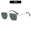 Gafas de Sol Metálicas con Doble Puente de Estilo Europeo y Americano Transfronterizas, Elegantes y Modernas Gafas Unisex con Protección UV