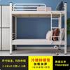 Cama de Ferro, Beliche, Apartamento para Quatro Pessoas para Talentos, Funcionários, Estudantes, Dormitório de Albergue da Juventude, Cama com Estrutura de Ferro