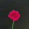 Ramo de Rosas Francesas Multicabeza Flor de Simulación Decoración de Auditorio de Bodas Cascada de Rosas Pared de Flores Ramo de Rosas para el Hogar