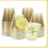 Taza Desechable de Agua de 9oz Más Vendida Transfronteriza con Borde Dorado Rosa, Taza de Plástico Duro Tipo Aviación, Taza para Helado, Taza para Jugo