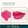 Bairo polvo de labios diy casero planta color primario polvo hecho a mano superfino color polvo material marca número de color polvo que cambia de color