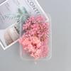 Fatias de Limão Meimuer Botão de Rosa Grânulos de Lavanda Flores Secas DIY Velas de Aromaterapia Fatias de Cera Material de Flor Decorativa