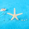 Mini estrella de mar colorida de cinco puntas, manualidades de resina para paisajes en miniatura, decoraciones para acuarios, accesorios para elementos acuáticos de peceras