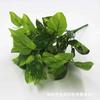 Suministro Directo de Fábrica de 7 Plantas Verdes Simuladas de PVC, Estrellas de Rábano Verde, Hojas Falsas, Regalos, Decoración de Habitación de Boda, Adornos Decorativos