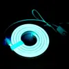 Luz de Neón USB con Interruptor Botón Interruptor 5V 501 Interruptor LED Bajo Voltaje Flexible Venta Directa Transfronteriza