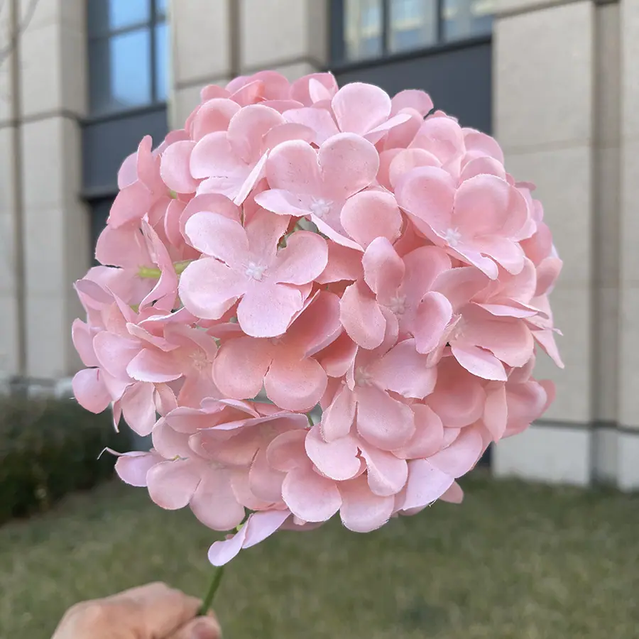 18cm新72片大绣球-秋粉.JPG