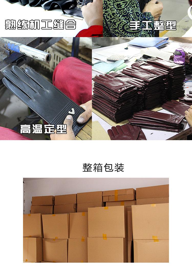 双长城花详情图_08