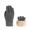 Luvas de dupla camada novas transfronteiriças com forro de fleece, espessadas, jacquard de fleece ártico, luvas quentes de inverno para ciclismo e esqui