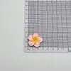 Nuevos Accesorios de Resina de Pegamento de Crema DIY de Plumeria Colorida para Zuecos, Pinzas para el Cabello, Aretes y Decoraciones de Fundas de Teléfono