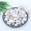 Guijarros, Piedras Flor de Lluvia, Piedras en Bruto, Paisajismo para Acuarios, Flores de Cultivo Hidropónico, Piedras Pequeñas, Macetas, Plantas en Maceta, Piedras Decorativas Multicolor