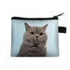 Monedero Temático de Gato, Portallaves y Tarjetas de Gran Capacidad, Bolso Cuadrado Mini Corto, Venta al por Mayor Transfronteriza, Monedero Pequeño Exquisito