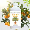 Solución Nutritiva Especializada para Árboles de Kumquat y Naranja, Fertilizante Líquido de Interior para Árboles Frutales en Maceta, Fertilizante Orgánico para Jardinería Casera
