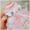 Vestido Lolita Princesa para Cachorro Bolsa de Renda Vestido Corpo Pequeno Roupas para Cachorro Maltês Yorkshire Vestido Rosa