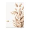 Pintura Decorativa Paisaje Nórdico Caña Beige Planta Flor Seca Sala de Estar Dormitorio Póster de Pared de Fondo Pintura sin Marco Amazon