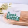 Tarjeta de Felicitación Casual Estilo Ins Hoja Verde Bosque Temporada de Graduación Día de San Valentín Acción de Gracias Bendición Negocios Horneado Tarjeta de Mensaje