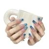 [Rakaman Nail Art] Fototerapia Manual Vestindo Armadura Venda por atacado Olho de gato de duas cores Nail Art Acabado Nail Art