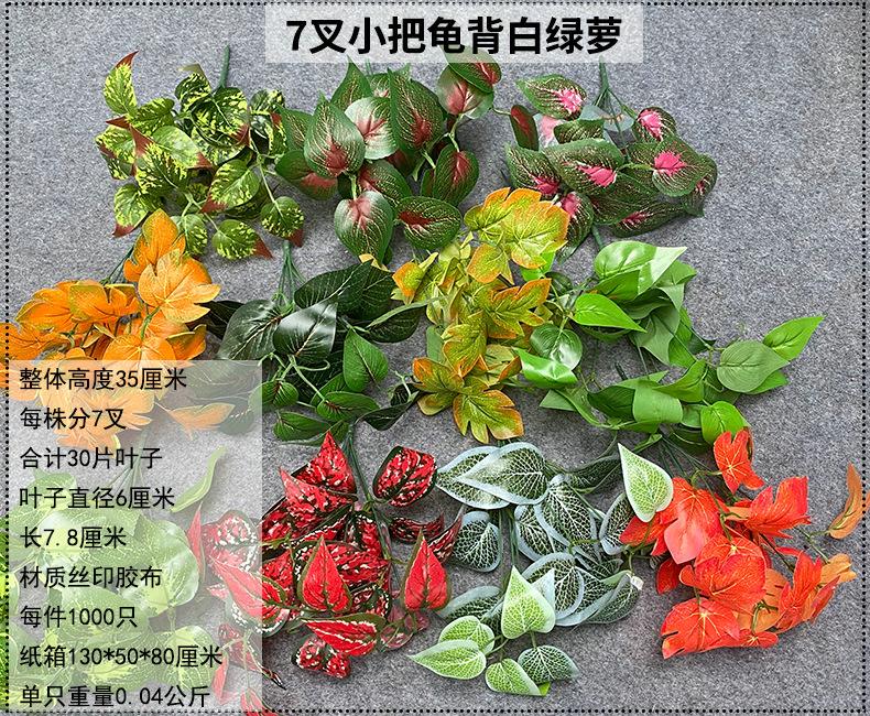 产品信息图-1.jpg