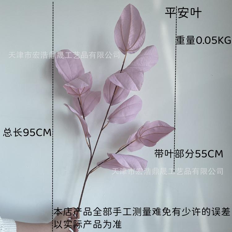 尺寸图