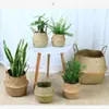 Cesta tejida a mano de ratán de pasto marino de color natural, Decoración simple para sala de estar del hogar, Decoración de plantas, Maceta tejida de paja de mano