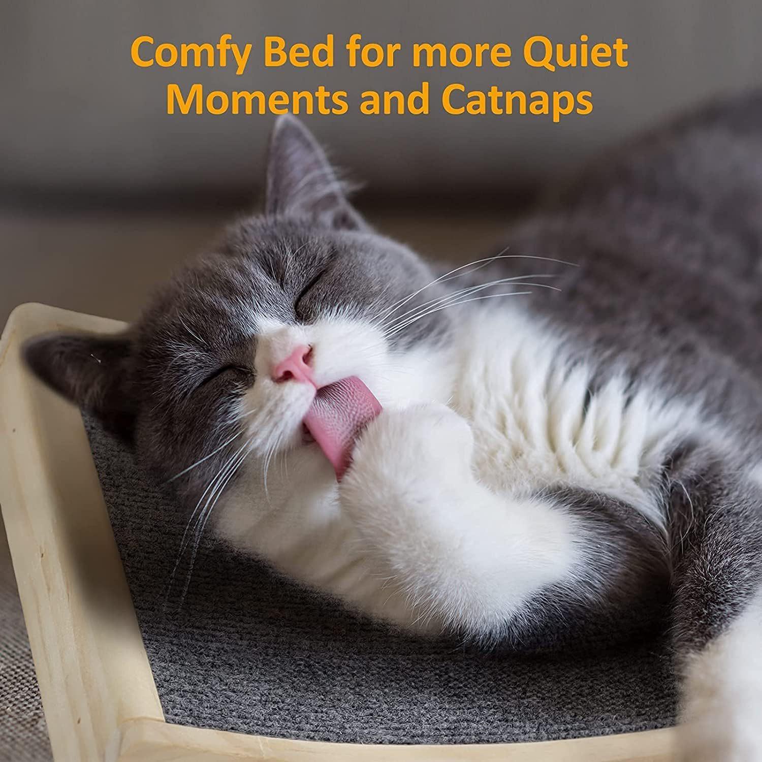 ab1dbfdedbfd86cccc905b1872d3a1