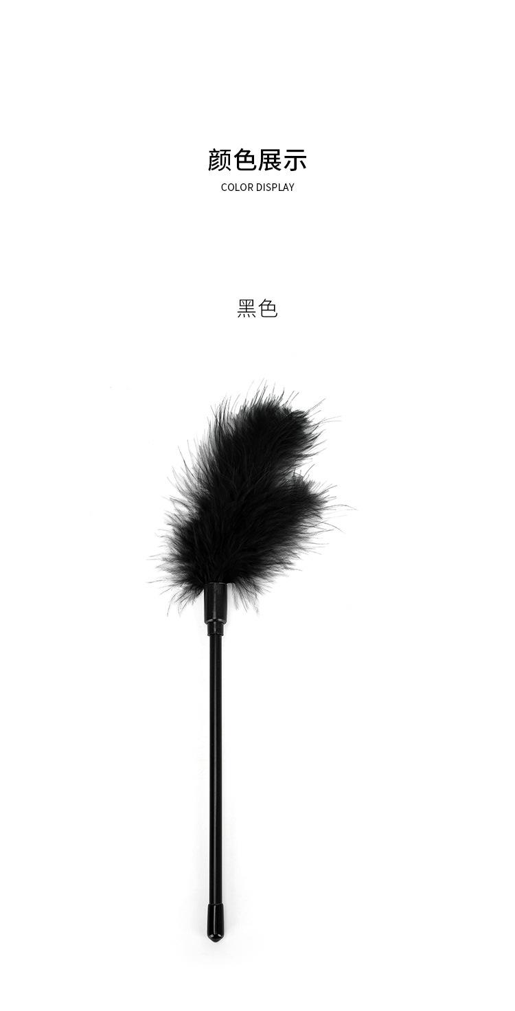Z437 (8).jpg