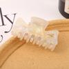 Pinza para el Cabello Sinfonía de Concha Pinza para la Parte Posterior de la Cabeza Nuevo Color Sirena Pinza de Tiburón Transfronterizo Imitación Acético Ácido Acético Pinza para el Cabello Tocado Pinza para el Cabello