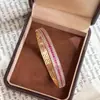 Colección Popular de Pulseras de Lujo Ligero Estilo Transfronterizo de Xiaohongshu Llena de Diamantes Cepillado Temperamento de Alta Gama Collar Super Hada