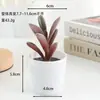 Venta al por mayor de plantas suculentas artificiales, lote mixto de plantas suculentas en maceta diamante, ventas directas de fábrica, decoraciones de plantas verdes para oficina