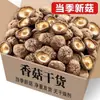 Cogumelos Shiitake Guri Gutian Atacado 500g Categoria Fresco Nutritivo Caseiro Polpudo Sem Raiz Cogumelos Secos