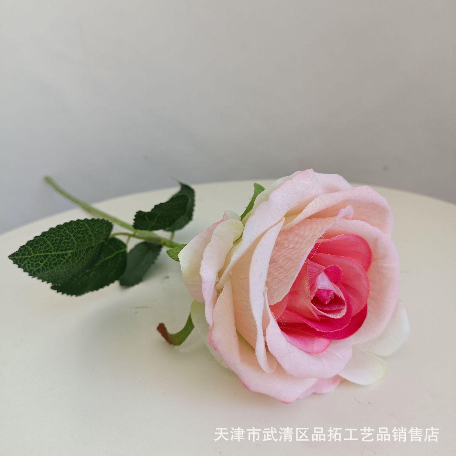 b694a381924288b991782630bbd163