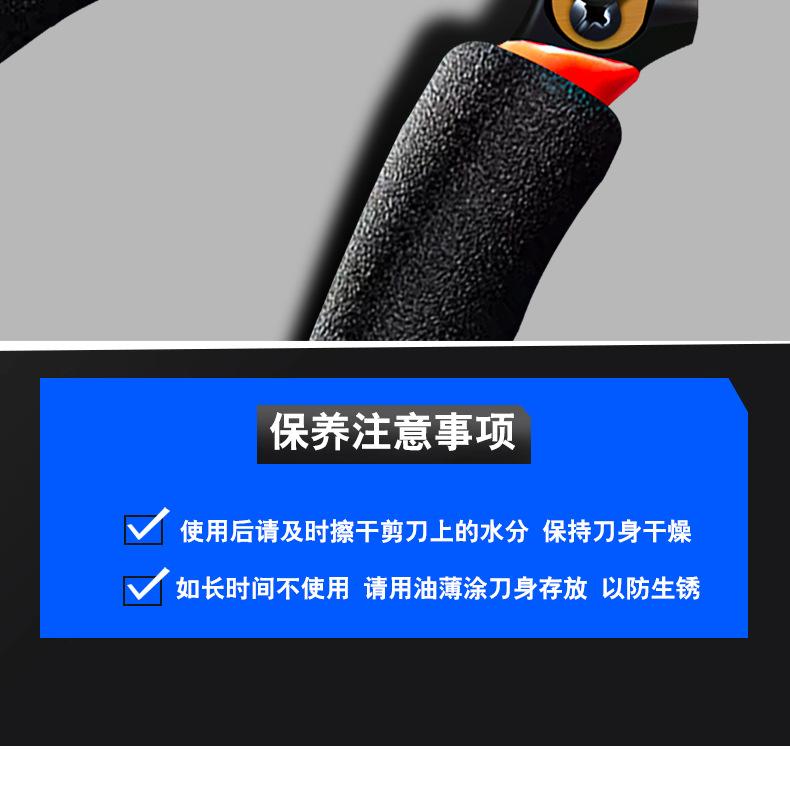 详情_19.jpg