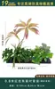 Flores Artificiais Plantas Verdes Conjunto de Divisória Decorativa Flores de Plástico e Seda Decoração de Paisagismo Arranjo de Paisagem Exibição de Janela Interna