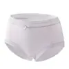 Novedad Primavera y Verano Venta al por Mayor Calzones Transpirables de Seda Helada, Ropa Interior Femenina de Seda sin Costuras con Entrepierna de Ácido Poliláctico, Una Pieza Envío Directo