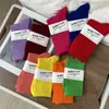 Calcetines de Colores para Niños Ins Súper Fire Morado Naranja Rojo Rosa Calcetines Medios Calcetines de Danza Moderna con Pantalones de Tiburón