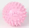 Brinquedo para Pet Tpr Pegada Bola com Espinhos Pequenos Moer Dentes Resistente à Mordida Bola Sólida Elástica Suprimentos Transfronteiriços para Pet Brinquedos para Cachorro