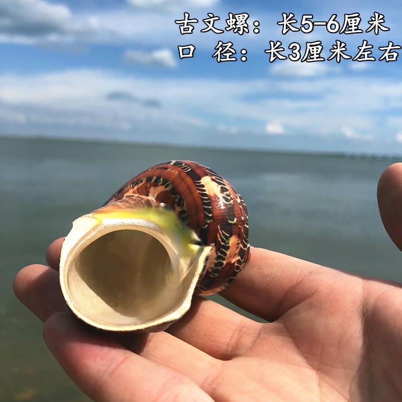 QQ图片20190901111553.jpg