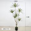Planta Verde Artificial en Maceta Árbol Sangre de Dragón de Hoja Estrecha, Agave, Árbol de Yuca, Cola de Caballo Aguja de Hierro Girasol, Árbol de Hierro Decoración de Ventana
