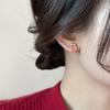 Aretes Rojos de Año Nuevo con el Símbolo de la Fortuna para Mujer, Tendencia Caliente 2026, Aretes Únicos, Nuevos Aretes de Nicho de Alta Gama