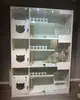 Gaiola para Gatos de Gabinete Gabinete para Criação de Gatos Quarto de Hospedagem para Gatos Vila para Gatos Loja de Animais de Estimação de Madeira Maciça Gaiola para Gatos Armário de Exposição Casa para Gatos de Três Níveis