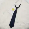 Algodão Poliéster Preguiçoso JK Gravata Pequena Grátis Preto Vermelho Vinho Azul Marinho Cor Sólida Mistura Coreana Estudante Básico Uniforme Escolar Turma