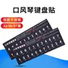 Adesivo Tecla de Órgão Teclado Post 37 Teclas 32 Teclas 36 Teclas 27 Teclas Qimei Swan DHS Suzuki Guoguang Universal