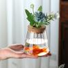 Jarrón de Vidrio Transparente Botella Ecológica para Planta Hidropónica Sala de Estar Arreglo Floral Adornos Creativos Cultivo en Agua Maceta para Planta Pothos Venta al por Mayor