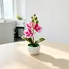 Planta de Vaso Criativa com 3 Orquídeas Phalaenopsis Decoração de Casa Vaso com Efeito Ondas de Água Flor Artificial Ornamento Atmosfera Mesa Vaso de Planta Simulado