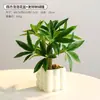 Plantas Verdes Artificiais, Pequeno Dinheiro em Vaso, Mesa de Escritório Interna de Luxo, Mesa de Centro de Sala de Estar, Decoração de Flores Artificiais