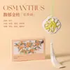 Novo Pingente de Gesso Aromaterápico Estilo Chinês, Desodorização Duradoura para Guarda-Roupa, Pingente Difusor de Fragrância Fresca, Fragrância de Lembrança de Feriado