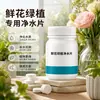 Pastillas Purificadoras de Agua Especiales para Plantas Hidropónicas Conservación de Flores Frescas Pastillas Desinfectantes para Bambú de la Suerte Tazón de Loto Purificador de Agua Conservante de Frescura para Flores