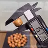 Sándalo Premium Laoshan Tres Vidas Tres Mundos Calabaza Zorro de Nueve Colas Cabeza de Oso Accesorios DIY Accesorios para Pulsera